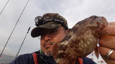 おひさの沖堤防