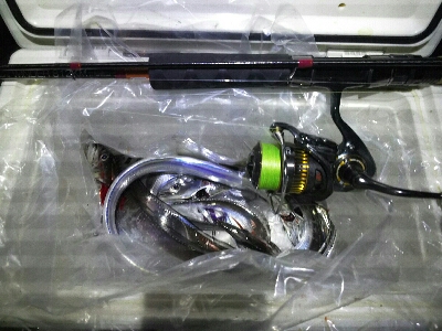 短い時合いで5匹