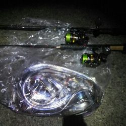 太刀魚は短期勝負