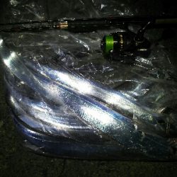 潮が動けば釣れる