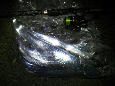 潮が動けば釣れる