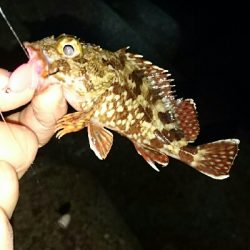 ワームでガシラ