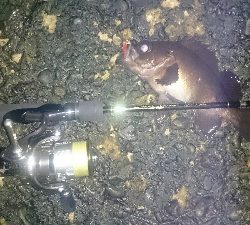 ライトゲームパラダイス