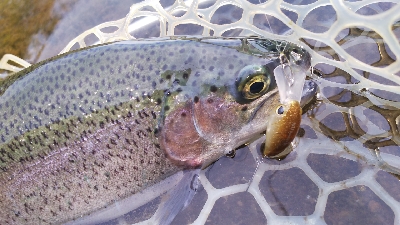 管理釣り場デビュー！