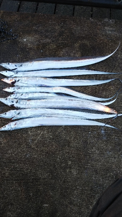 なんか渋く感じた