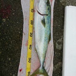 念願！のませ初ヒット！