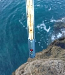 エギング釣行その34