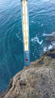 エギング釣行その34