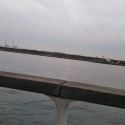 アタリが少ない…