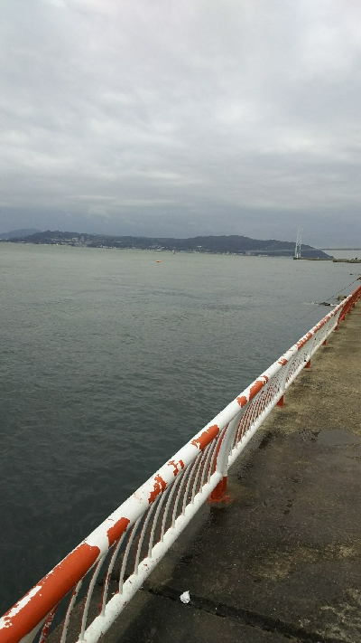 子供が大喜び！