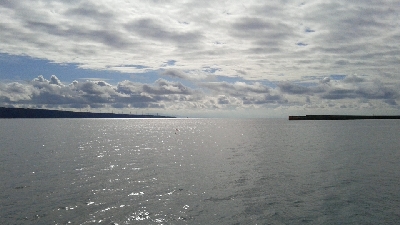 五目達成ならず