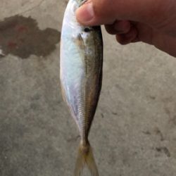 アタリはあっても