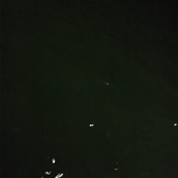 早朝ライトゲーム