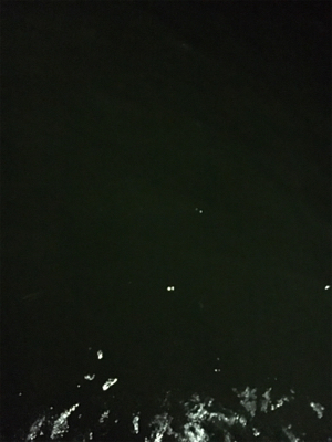 早朝ライトゲーム