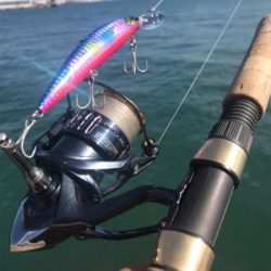 癒され五目から、昼ミノー太刀♫