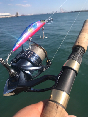 癒され五目から、昼ミノー太刀♫