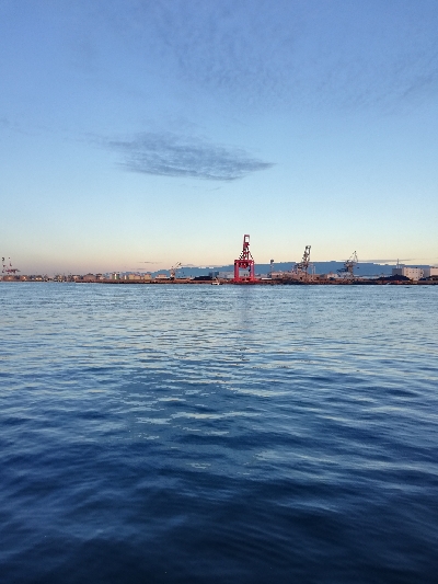 朝から粘って｡