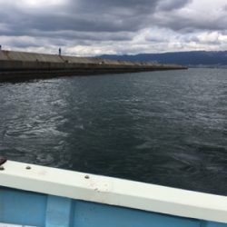 朝まづめショアジギング