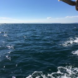 北〜南 ロングコース