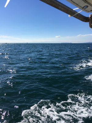 北〜南 ロングコース