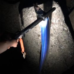 休日のタッチ〜釣行! 出遅れた(´༎ຶོρ༎ຶོ`)