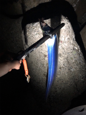 休日のタッチ〜釣行! 出遅れた(´༎ຶོρ༎ຶོ`)