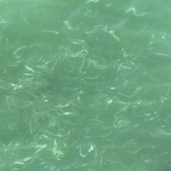 ダンゴ釣りのはずが