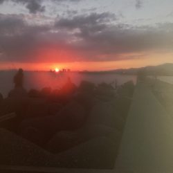 タチウオ釣り大人気！