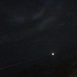 短時間アジング