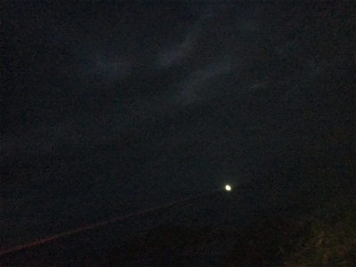 短時間アジング