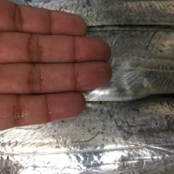 タチウオ複数げっと!