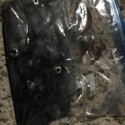 ヒイカ釣り(^.^)