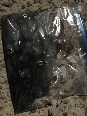 ヒイカ釣り(^.^)