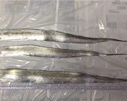 セットアッパー散る…