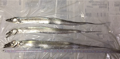 セットアッパー散る…