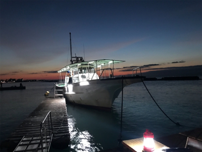 太刀魚  須磨沖  大潮