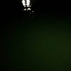 仕事終わりにライトゲーム