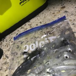 懲りずにヒイカ釣り(^。^)