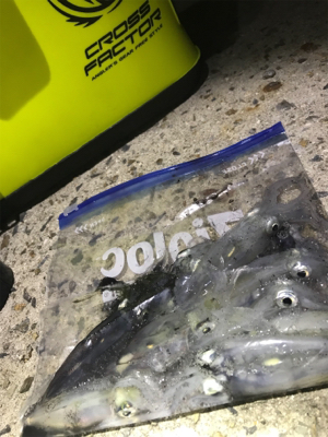 懲りずにヒイカ釣り(^。^)