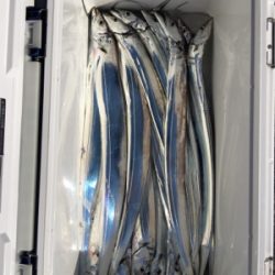 早朝ショアジギング