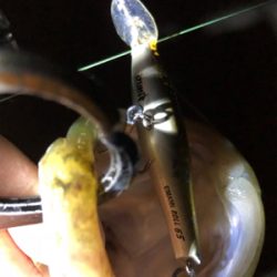 サッパパターン！