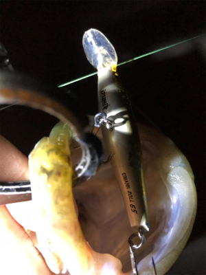 サッパパターン！