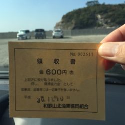 サビキ  コッパグレ  イワシ