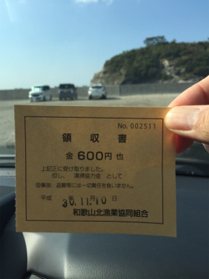 サビキ  コッパグレ  イワシ