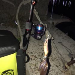 瀑釣？と思ったのもつかのま…