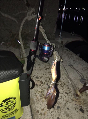 瀑釣？と思ったのもつかのま…