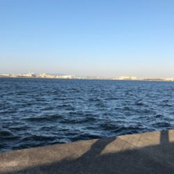 良いのか？悪いのか？