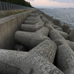 ひさしぶりの釣り