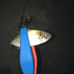 鳴門でライトゲーム