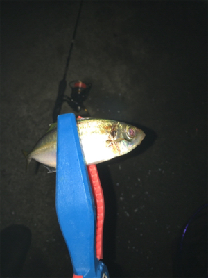 鳴門でライトゲーム